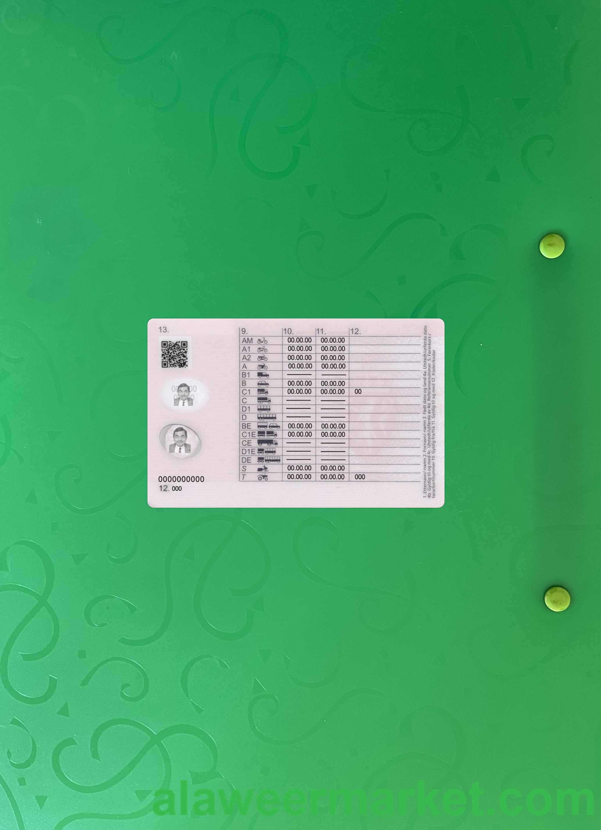Norway driving license 2018-present photolook BACK